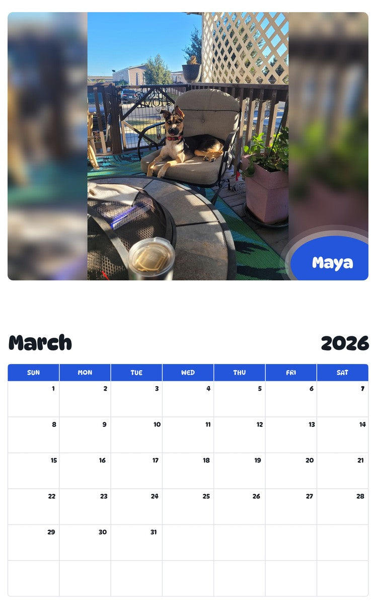 November 2025 - October 2026 Maya - Pawidols Pet Calendar