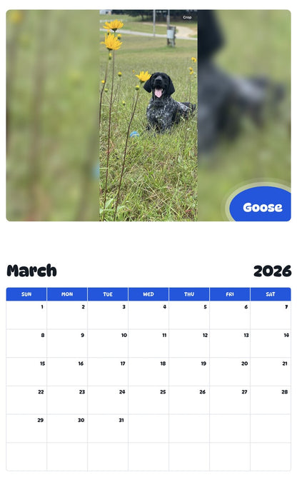 November 2025 - October 2026 Goose - Pawidols Pet Calendar