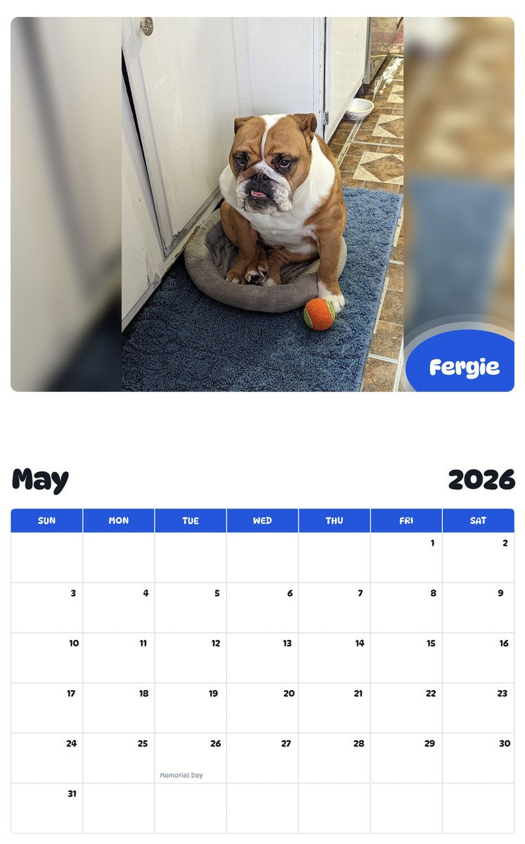 2026 - 2027 Fergie - Pawidols Pet Calendar