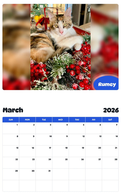 November 2025 - October 2026 Rumey - Pawidols Pet Calendar