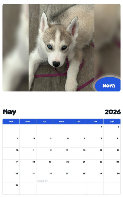 2026 - 2027 Nora - Pawidols Pet Calendar