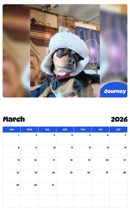 November 2025 - October 2026 Journey - Pawidols Pet Calendar