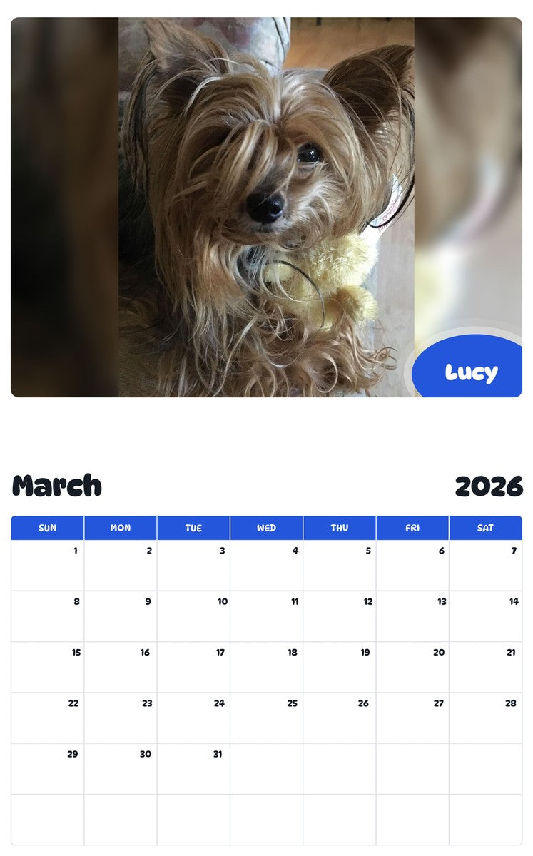 November 2025 - October 2026 Lucy - Pawidols Pet Calendar