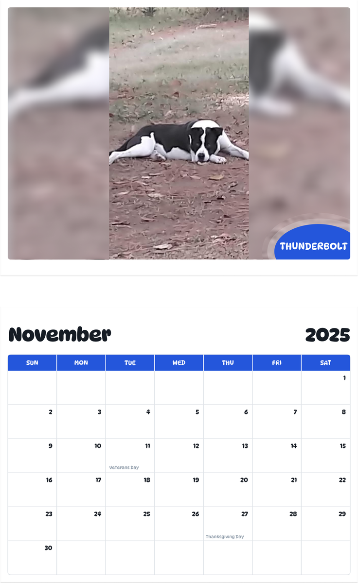 July 2025 - June 2026 Thunderbolt - Pawidols Pet Calendar