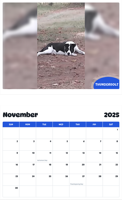 July 2025 - June 2026 Thunderbolt - Pawidols Pet Calendar