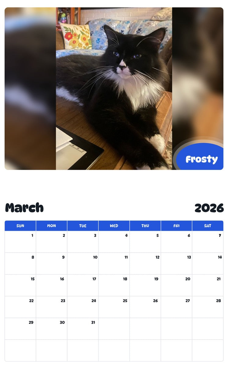 November 2025 - October 2026 Frosty - Pawidols Pet Calendar