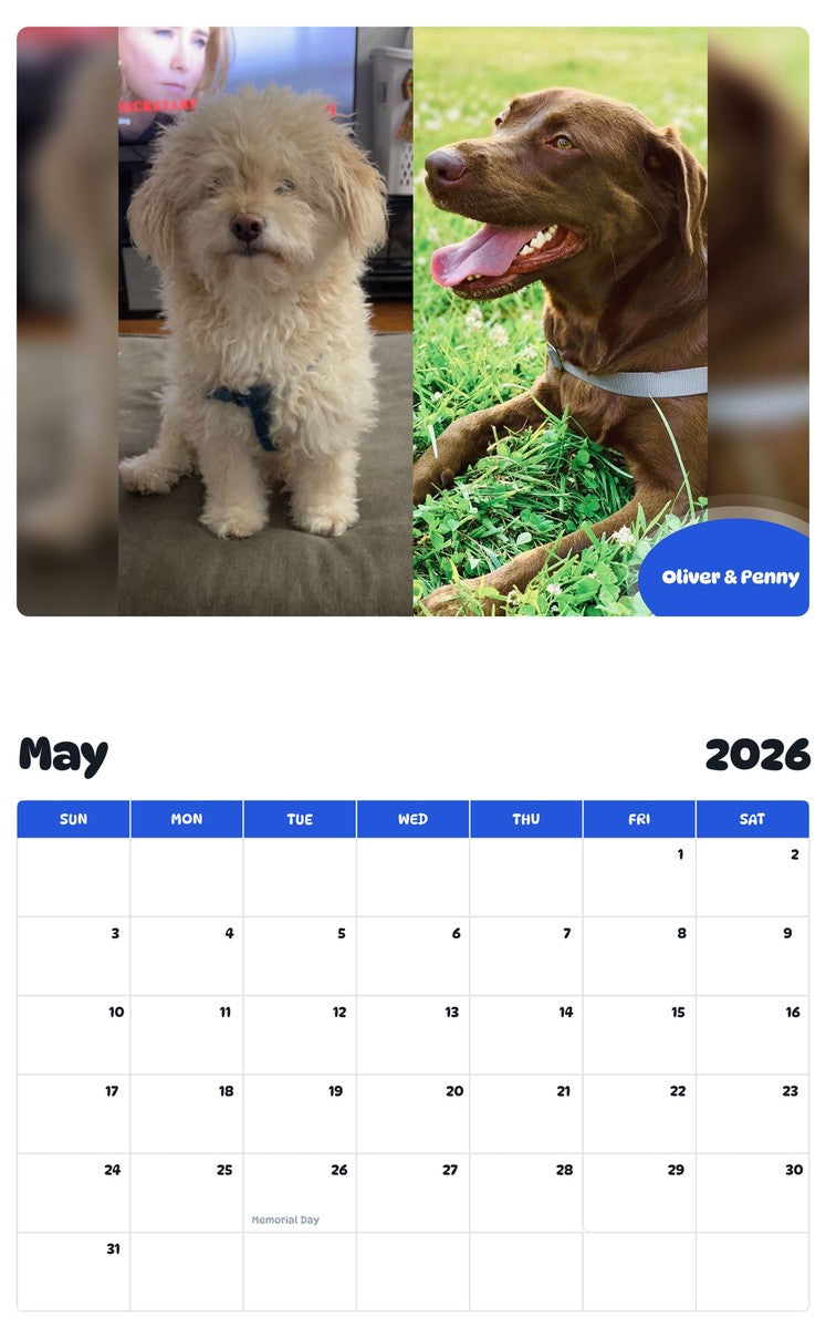 2026 - 2027 Oliver & Penny - Pawidols Pet Calendar