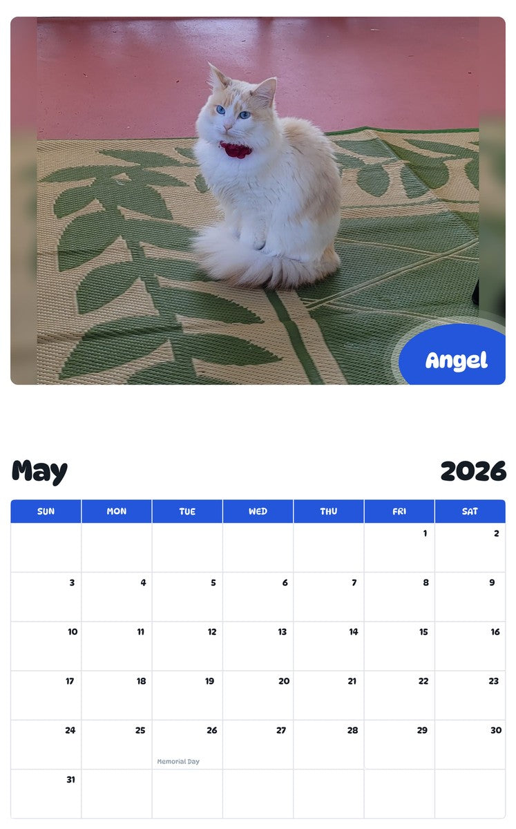 2026 - 2027 Angel - Pawidols Pet Calendar