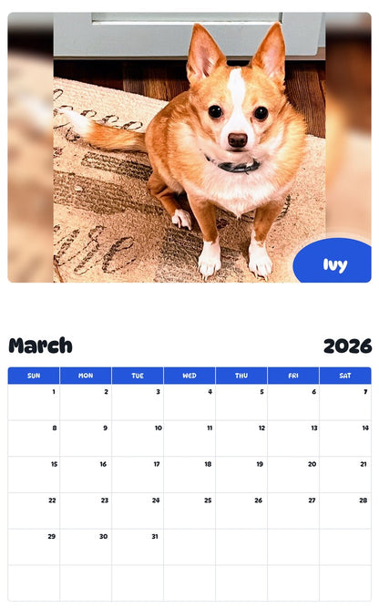 November 2025 - October 2026 Ivy - Pawidols Pet Calendar