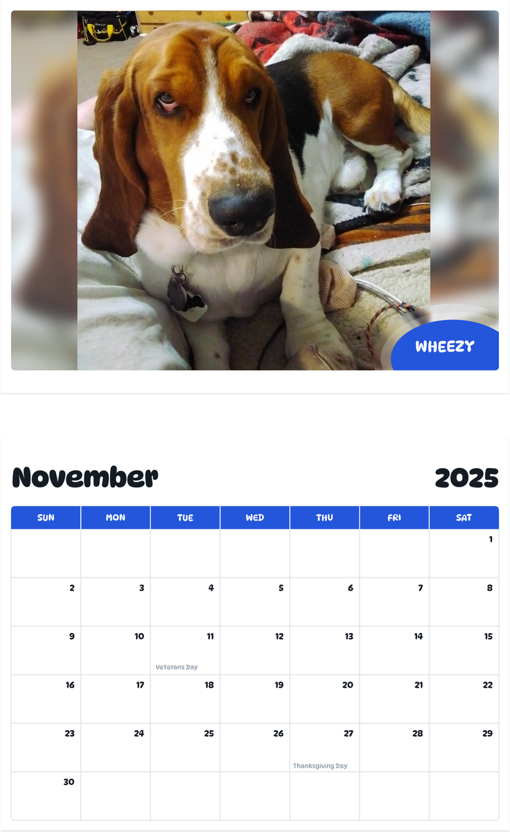 July 2025 - June 2026 Wheezy - Pawidols Pet Calendar