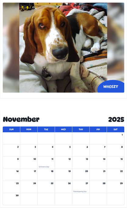 July 2025 - June 2026 Wheezy - Pawidols Pet Calendar