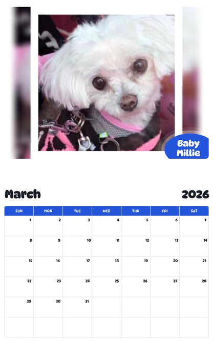 November 2025 - October 2026 Baby Millie - Pawidols Pet Calendar