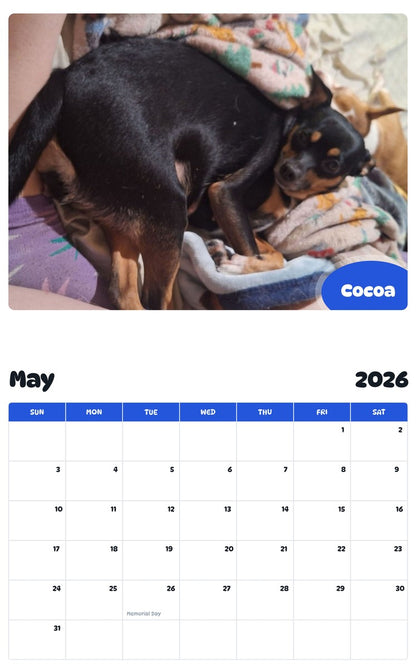2026 - 2027 Cocoa - Pawidols Pet Calendar