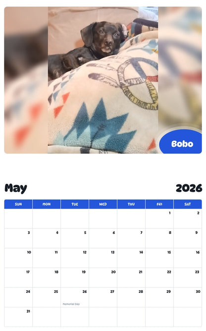 2026 - 2027 Bobo - Pawidols Pet Calendar