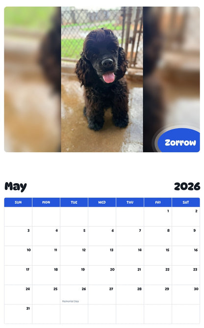2026 - 2027 Zorrow - Pawidols Pet Calendar