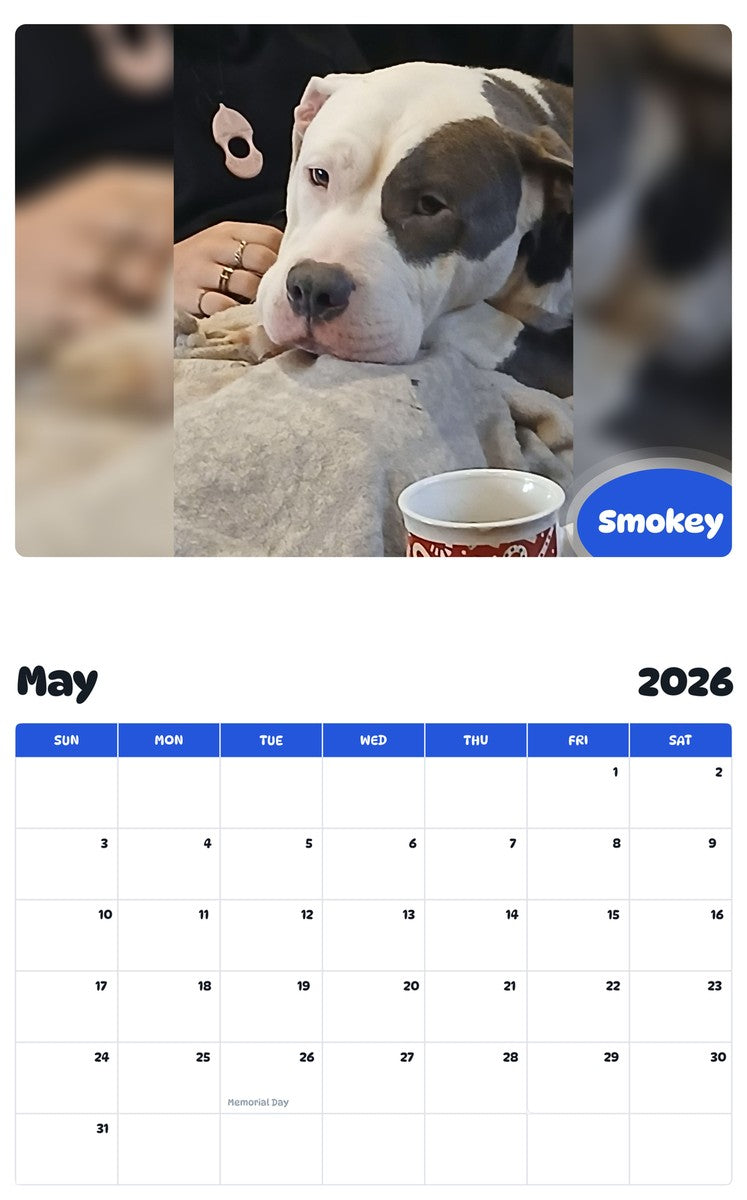 2026 - 2027 Smokey - Pawidols Pet Calendar
