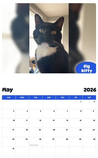 2026 - 2027 Big kitty - Pawidols Pet Calendar