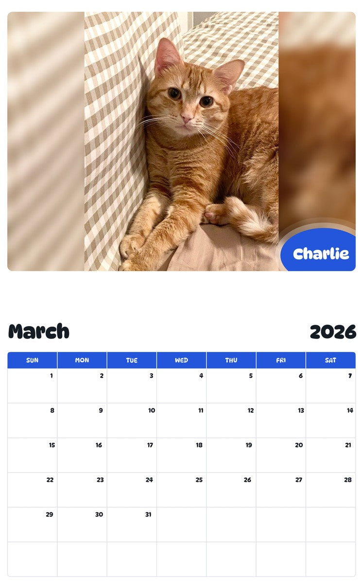 November 2025 - October 2026 Charlie - Pawidols Pet Calendar