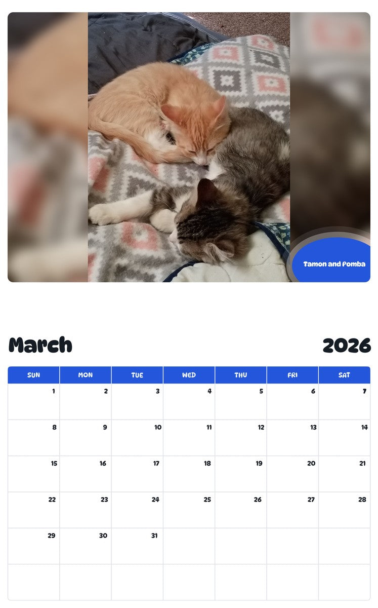November 2025 - October 2026 Tamon and Pomba - Pawidols Pet Calendar