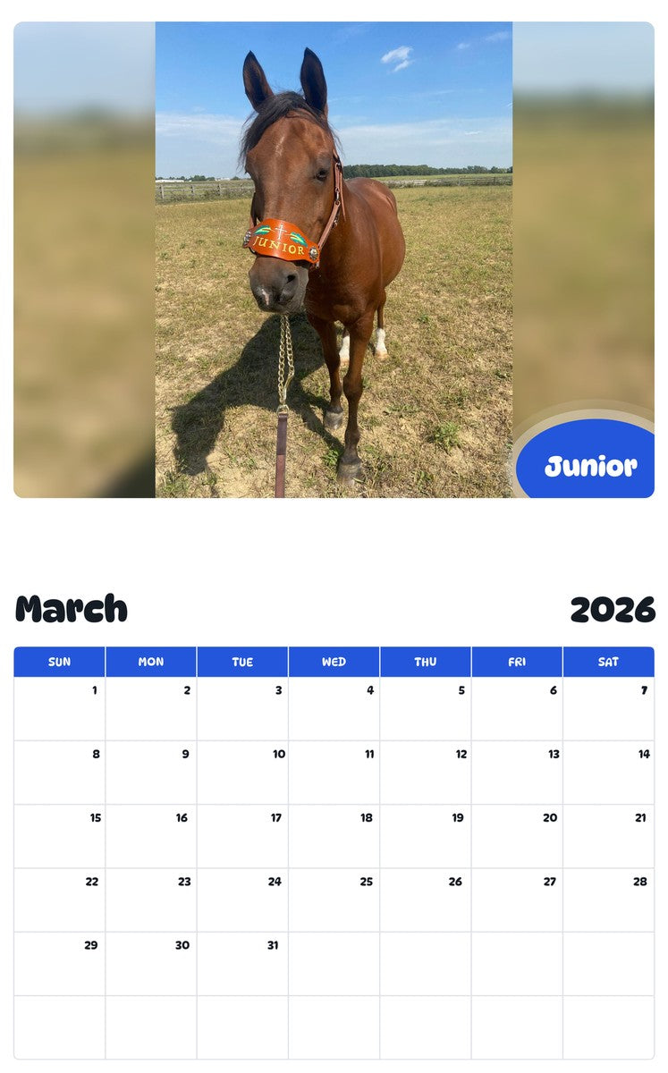 November 2025 - October 2026 Junior - Pawidols Pet Calendar