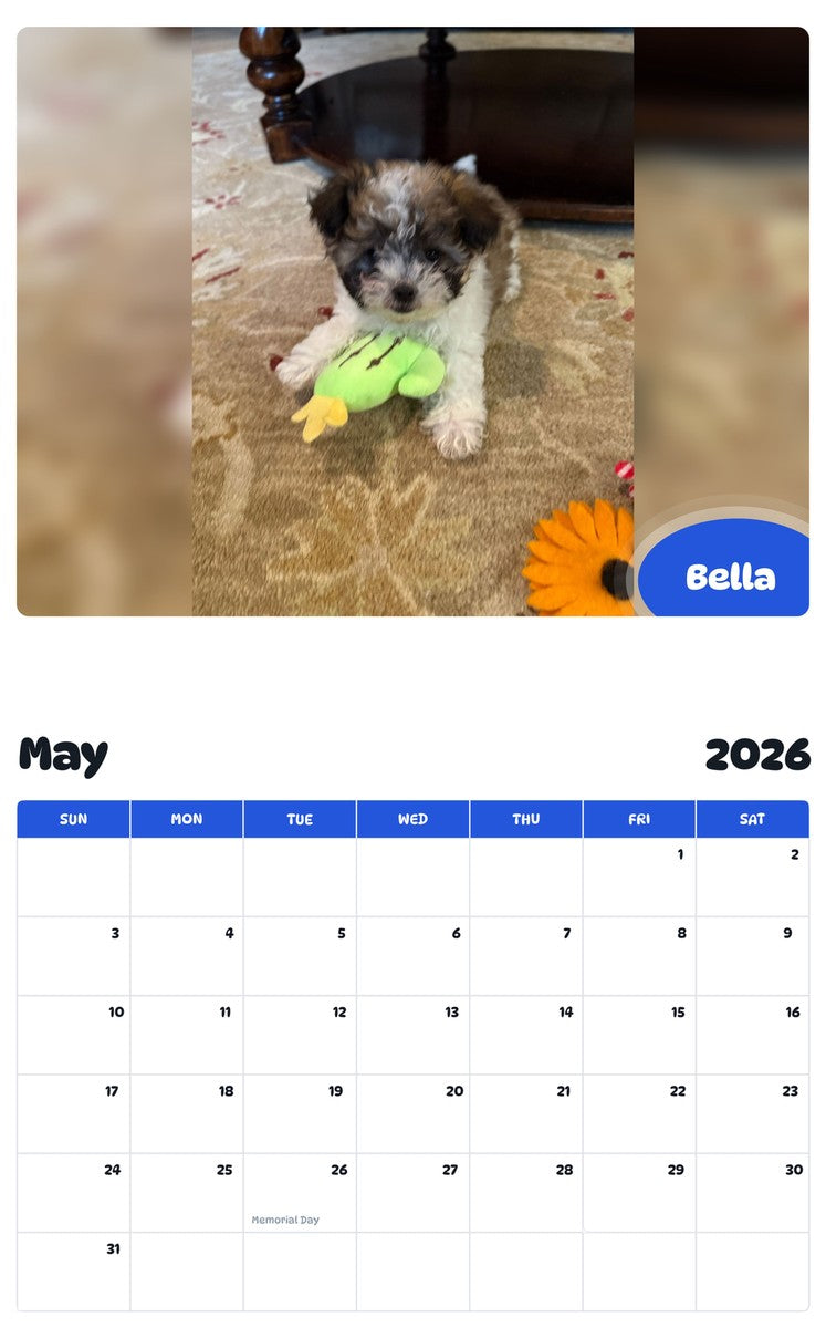 2026 - 2027 Bella - Pawidols Pet Calendar