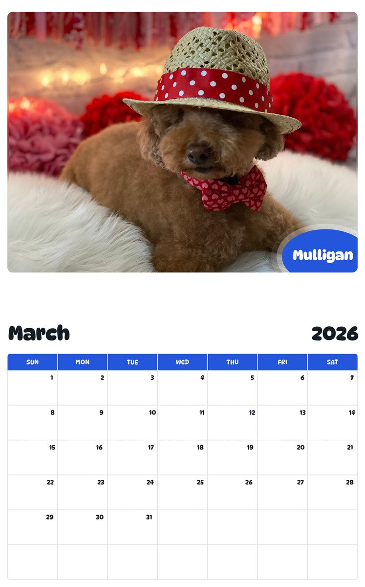 November 2025 - October 2026 Mulligan - Pawidols Pet Calendar
