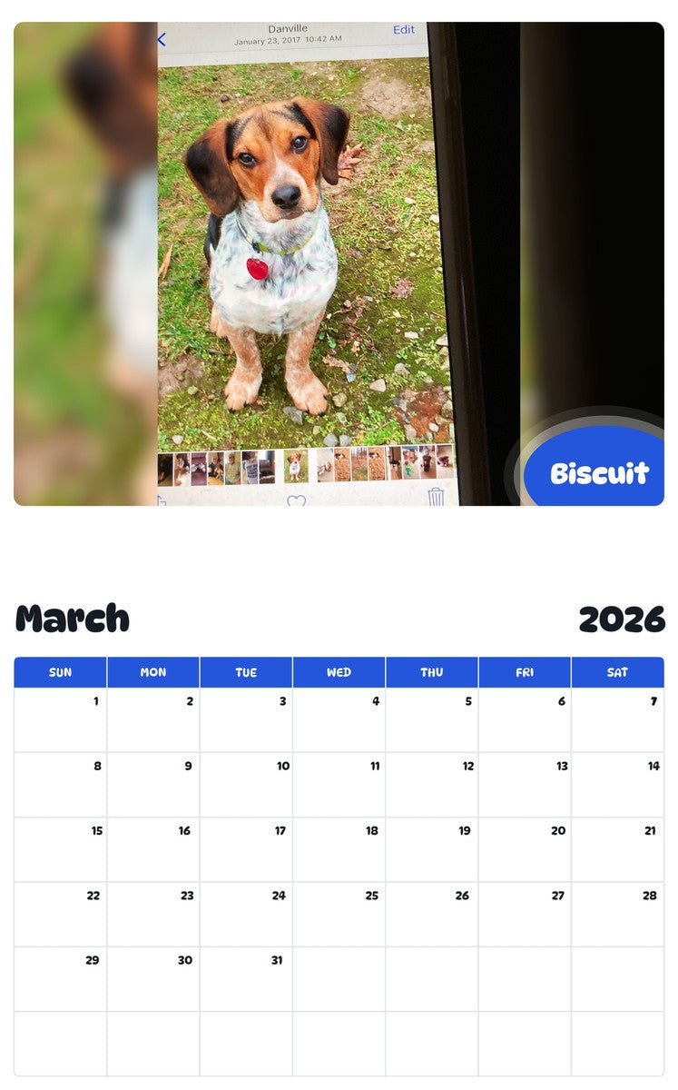 November 2025 - October 2026 Biscuit - Pawidols Pet Calendar