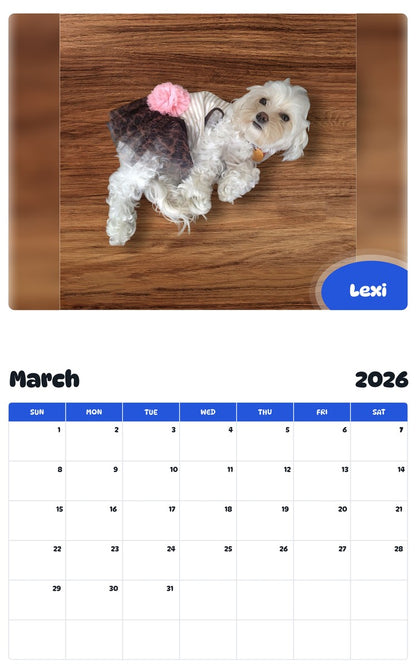 November 2025 - October 2026 Lexi - Pawidols Pet Calendar
