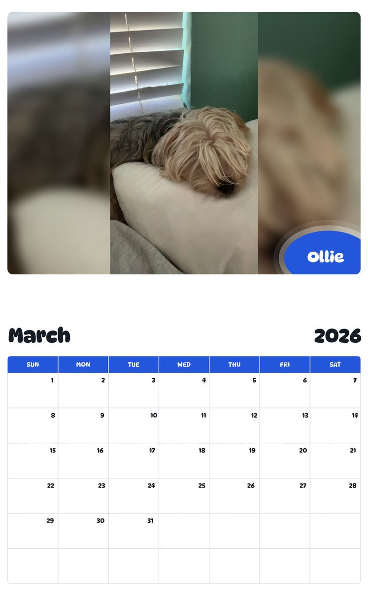 November 2025 - October 2026 Ollie - Pawidols Pet Calendar