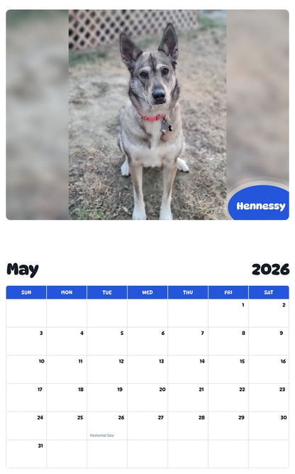 2026 - 2027 Hennessy - Pawidols Pet Calendar