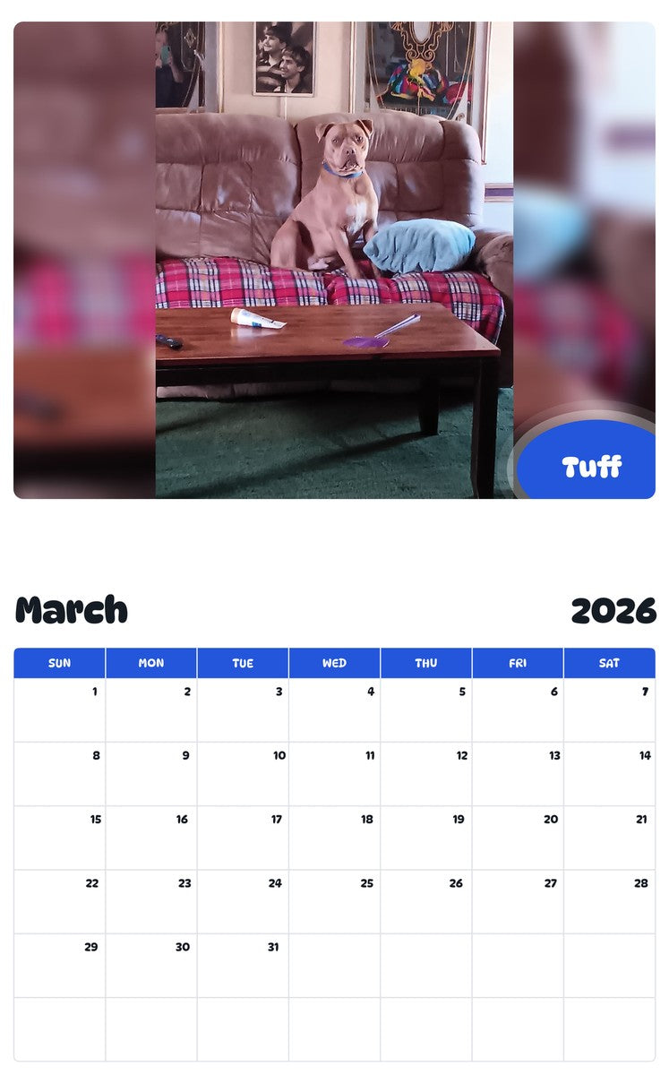 November 2025 - October 2026 Tuff - Pawidols Pet Calendar