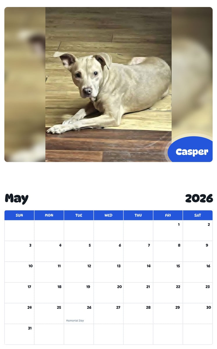 2026 - 2027 Casper - Pawidols Pet Calendar