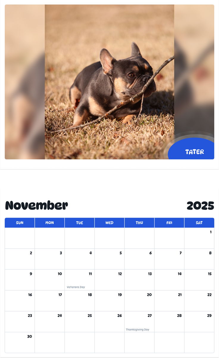 July 2025 - June 2026 Tater - Pawidols Pet Calendar