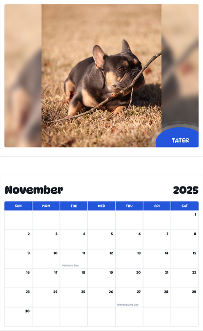 July 2025 - June 2026 Tater - Pawidols Pet Calendar