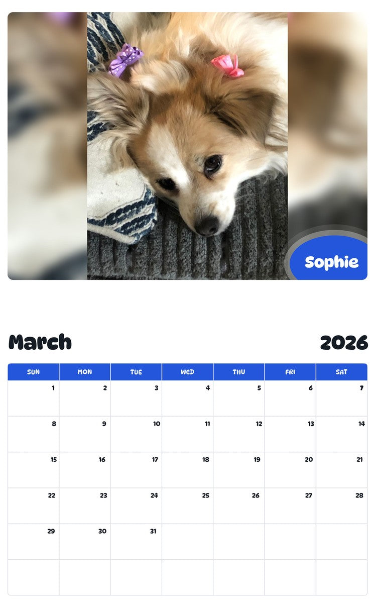 November 2025 - October 2026 Sophie - Pawidols Pet Calendar