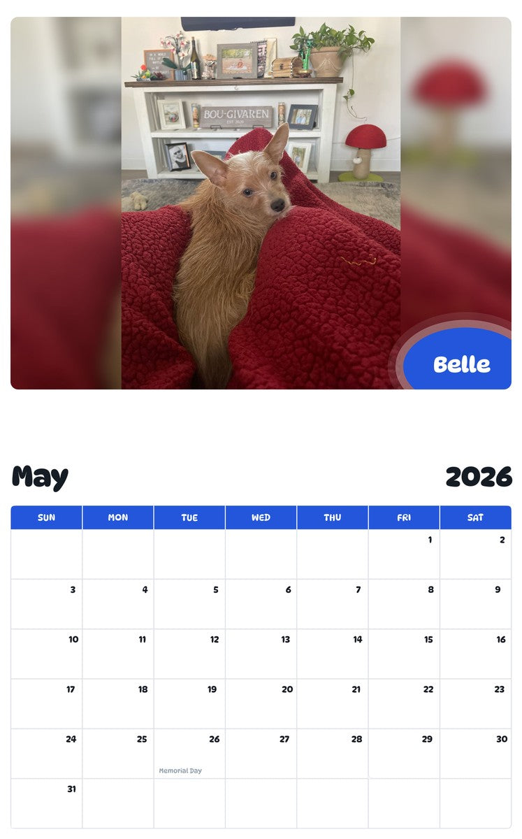 2026 - 2027 Belle - Pawidols Pet Calendar