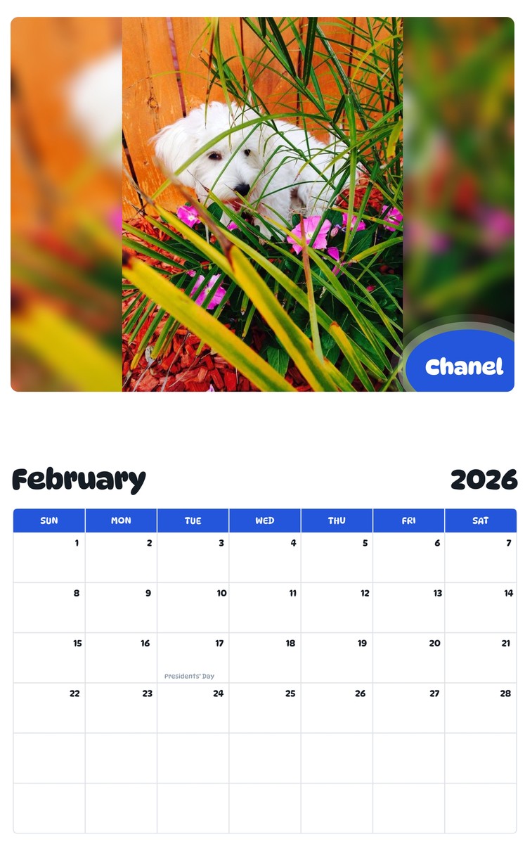 October 2025 - September 2026 Chanel - Pawidols Pet Calendar