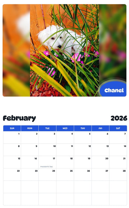 October 2025 - September 2026 Chanel - Pawidols Pet Calendar