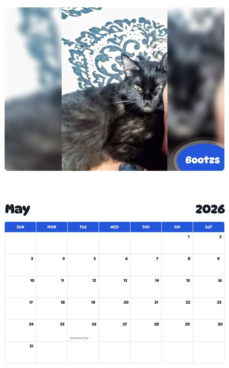 2026 - 2027 Bootzs - Pawidols Pet Calendar