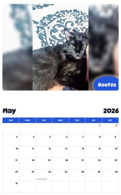 2026 - 2027 Bootzs - Pawidols Pet Calendar