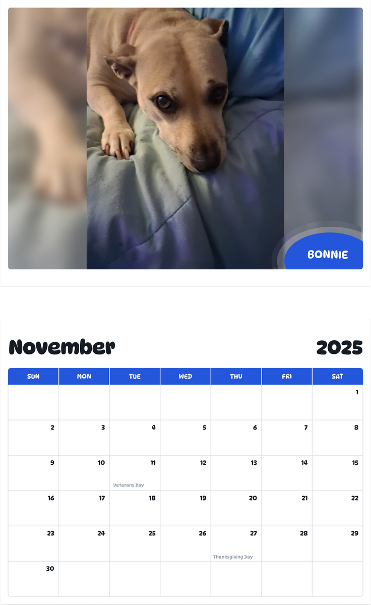 July 2025 - June 2026 Bonnie - Pawidols Pet Calendar