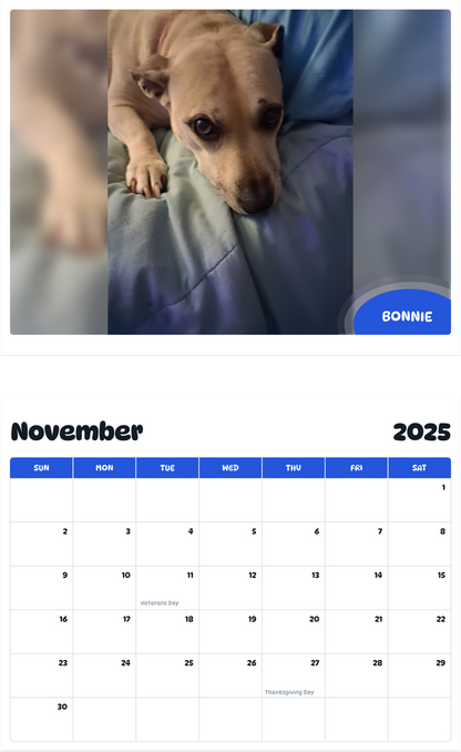 July 2025 - June 2026 Bonnie - Pawidols Pet Calendar