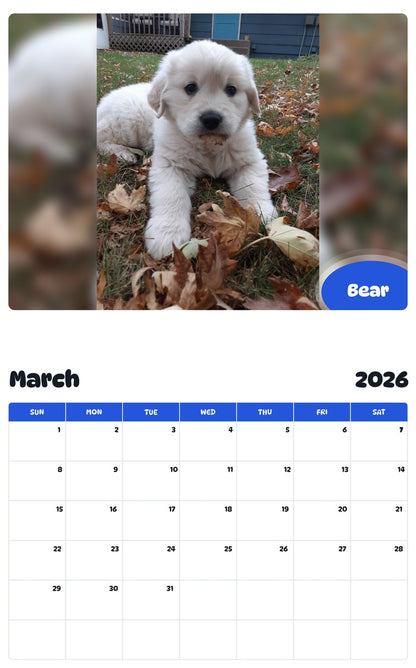 November 2025 - October 2026 Bear - Pawidols Pet Calendar