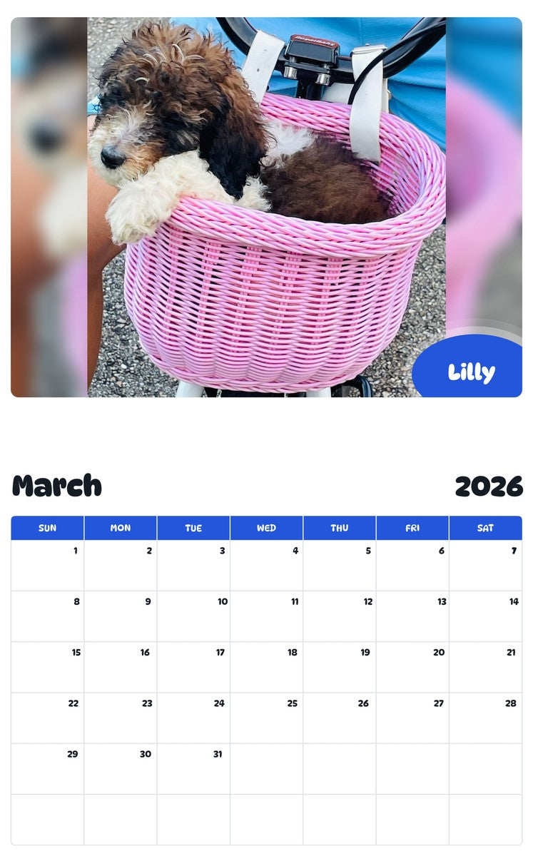 November 2025 - October 2026 Lilly - Pawidols Pet Calendar