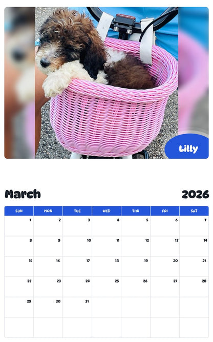 November 2025 - October 2026 Lilly - Pawidols Pet Calendar