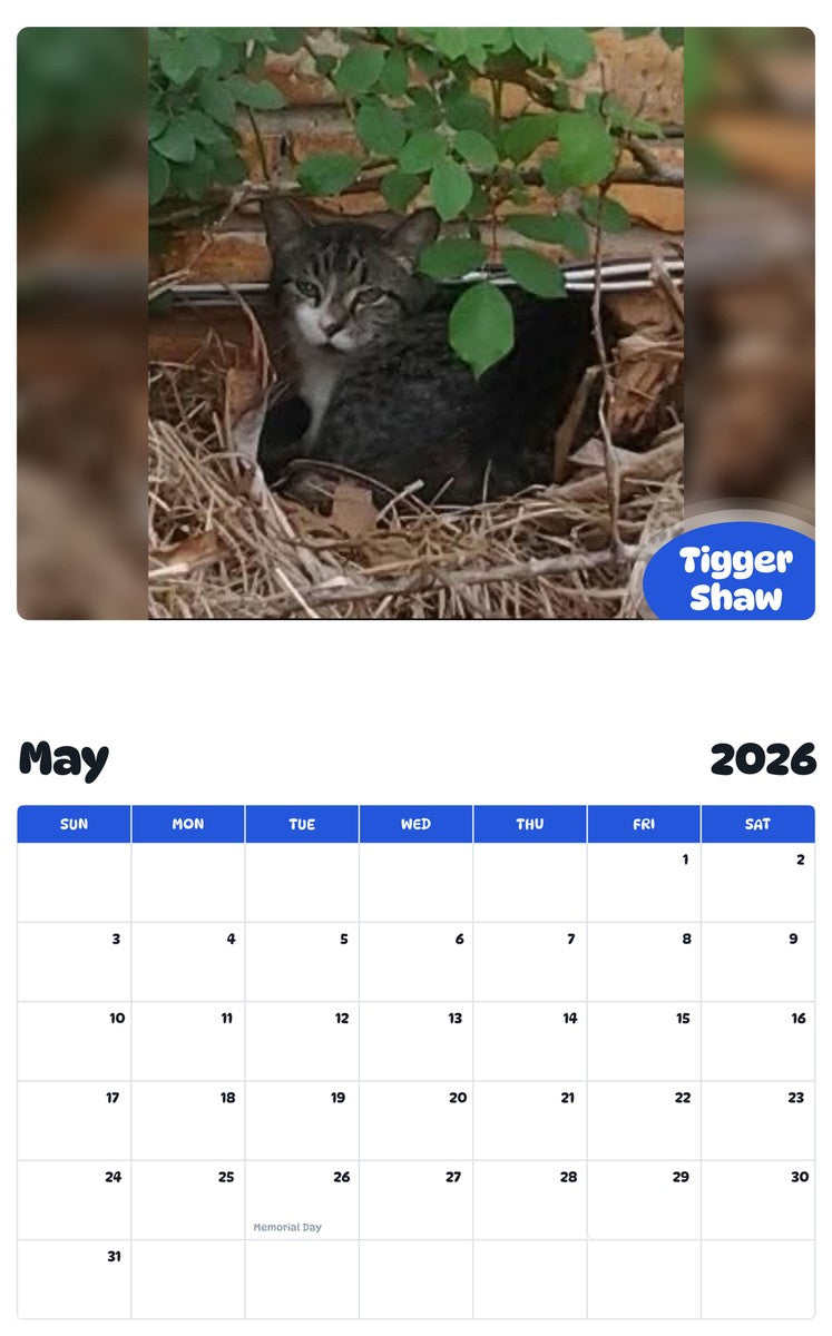 2026 - 2027 Tigger Shaw - Pawidols Pet Calendar