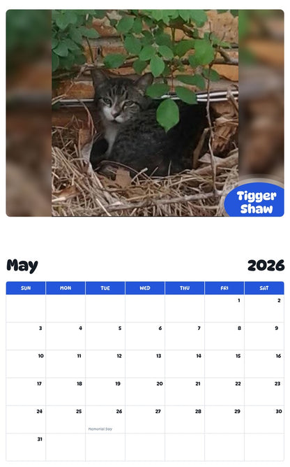 2026 - 2027 Tigger Shaw - Pawidols Pet Calendar