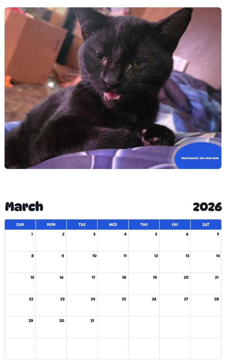 November 2025 - October 2026 Black beauty  and  chub chub - Pawidols Pet Calendar