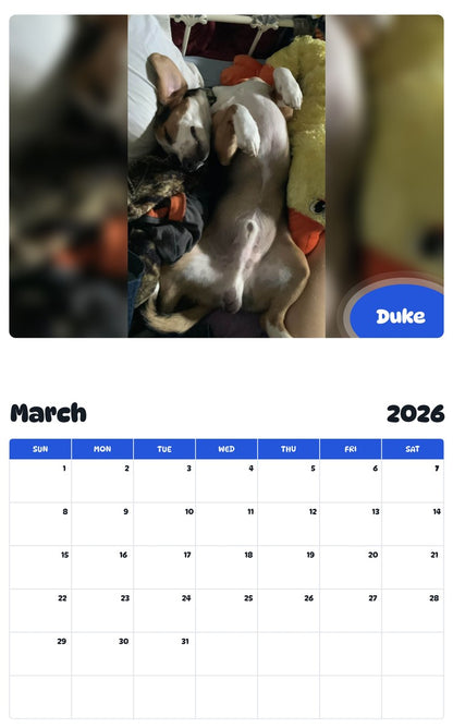November 2025 - October 2026 Duke - Pawidols Pet Calendar