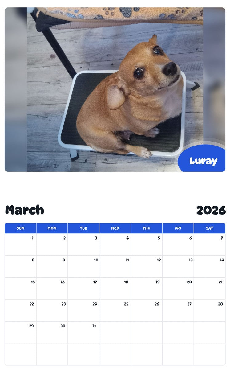 November 2025 - October 2026 Luray - Pawidols Pet Calendar